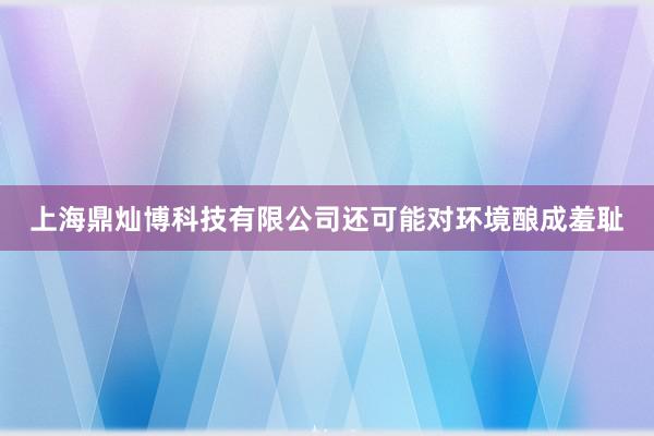 上海鼎灿博科技有限公司还可能对环境酿成羞耻