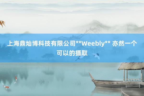 上海鼎灿博科技有限公司**Weebly** 亦然一个可以的摄取