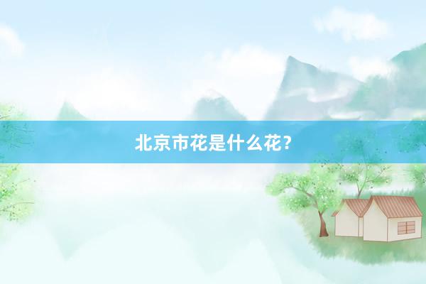 北京市花是什么花？