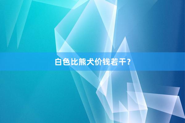 白色比熊犬价钱若干？