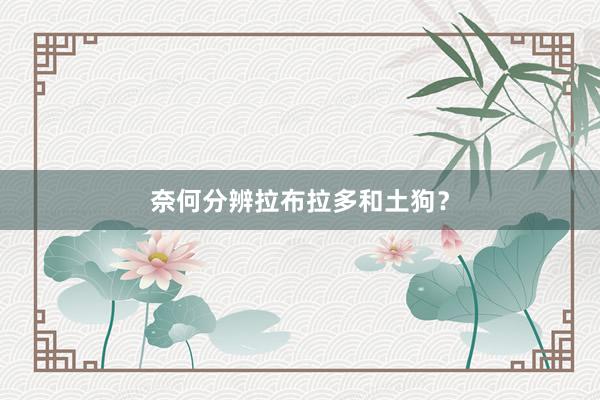 奈何分辨拉布拉多和土狗？